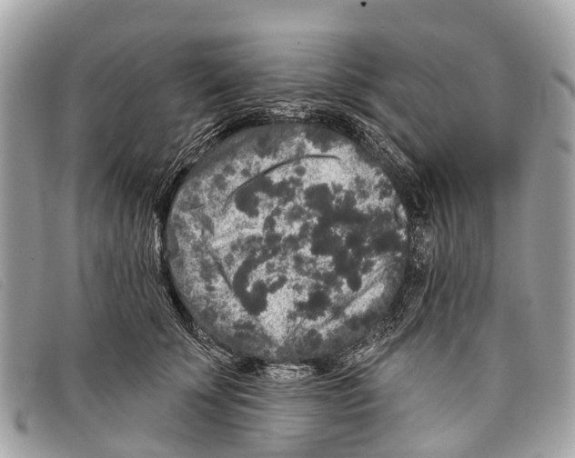 X0000097850707200804111128