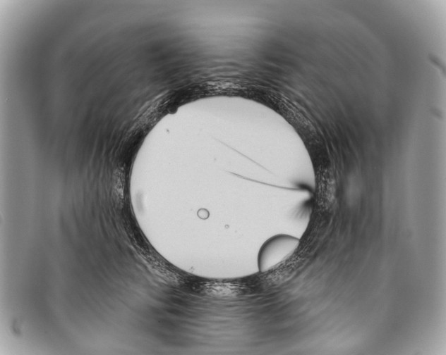 X0000097850710200804111128