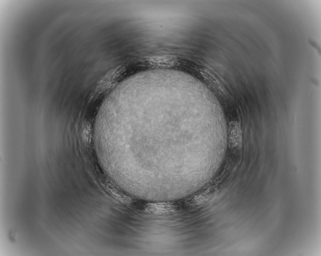 X0000097850713200804111128