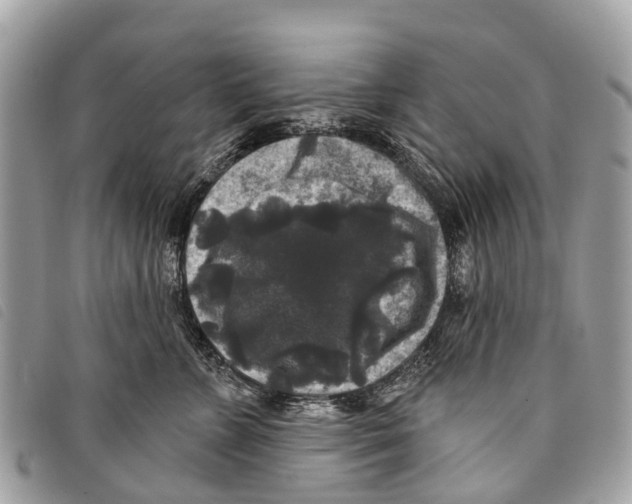 X0000097850715200804111128