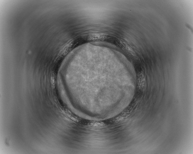 X0000097850716200804111128