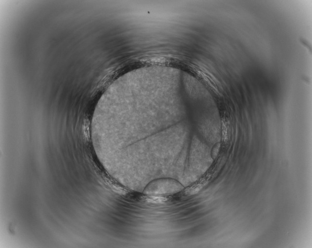 X0000097850718200804111128