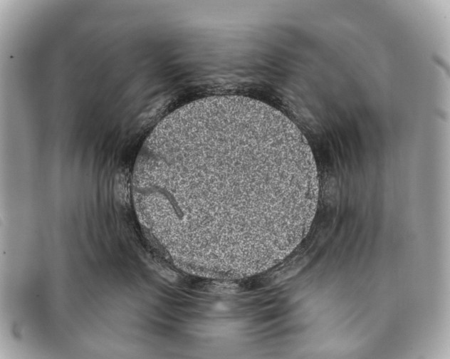 X0000097850719200804111128