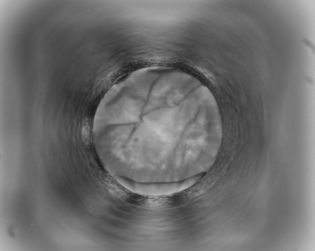 X0000097850720200804111128