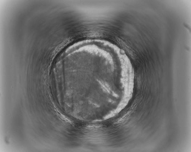 X0000097850721200804111128