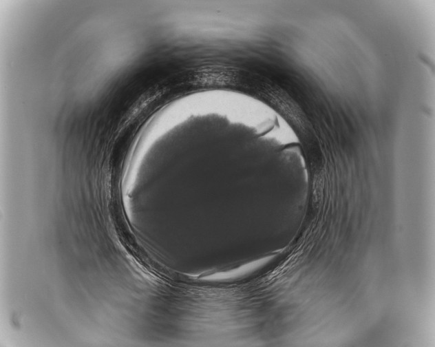 X0000097850722200804111128