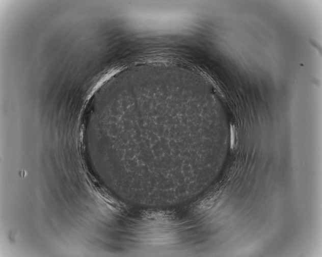 X0000097850723200804111128