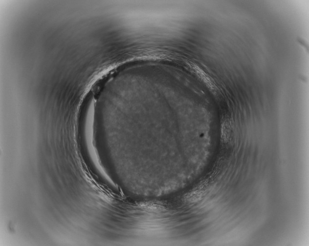 X0000097850724200804111128