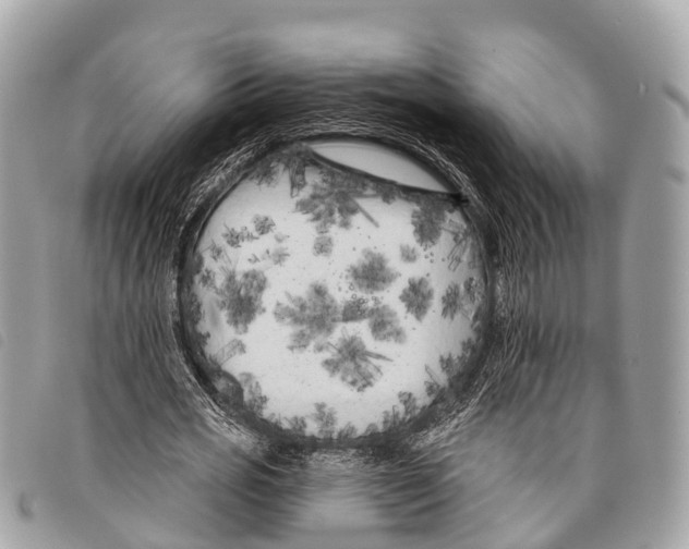 X0000097850725200804111128