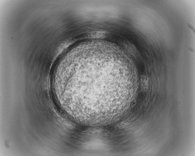 X0000097850726200804111128