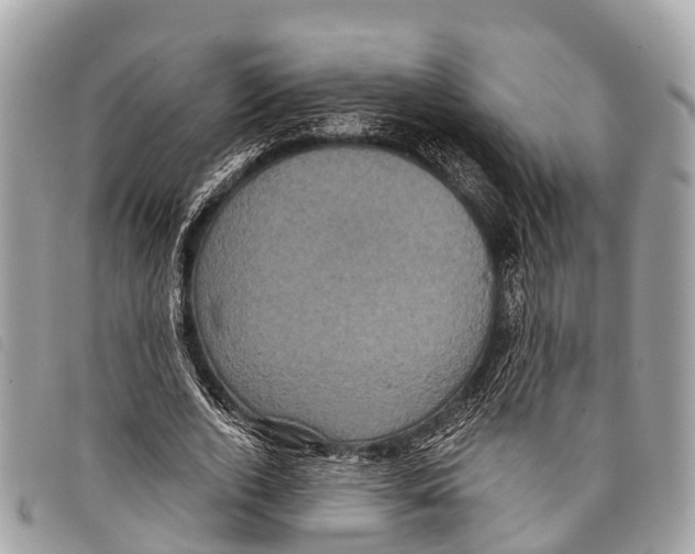 X0000097850728200804111128