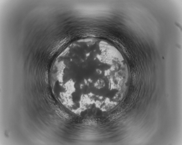 X0000097850729200804111128