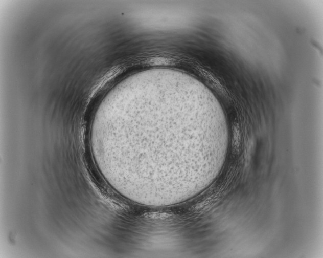 X0000097850730200804111128