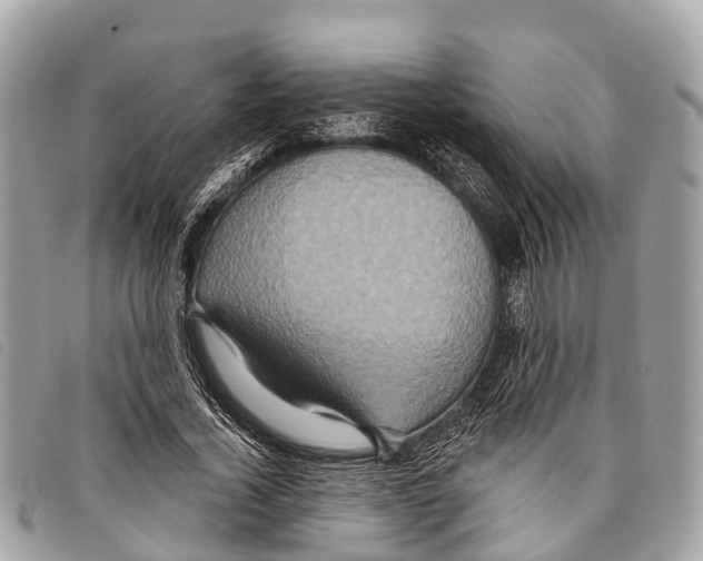 X0000097850732200804111128