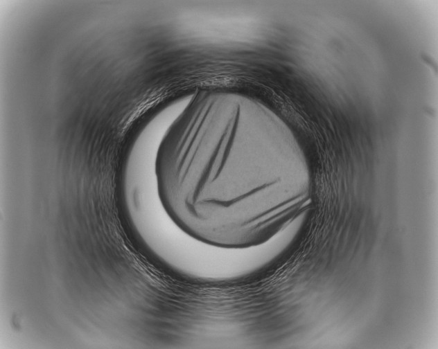 X0000097850735200804111128