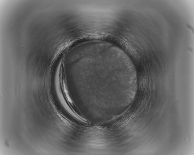 X0000097850736200804111128