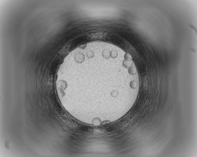 X0000097850737200804111128