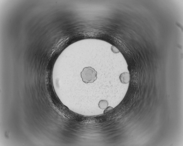 X0000097850738200804111128