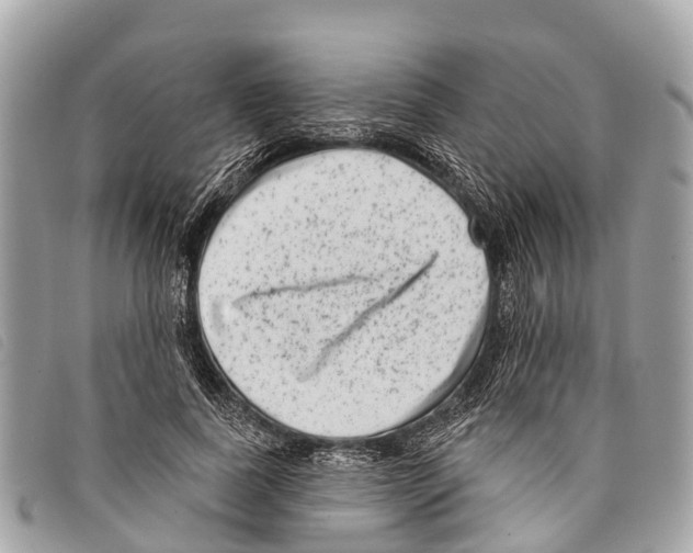 X0000097850739200804111128