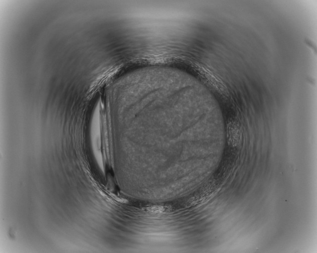 X0000097850740200804111128