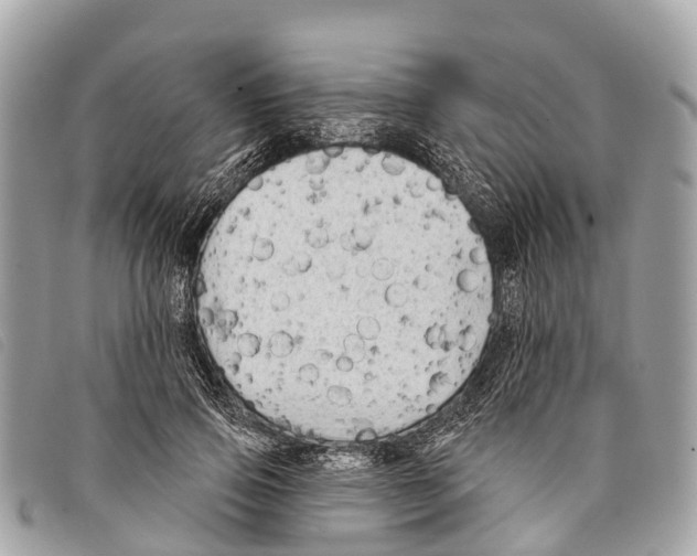 X0000097850741200804111128