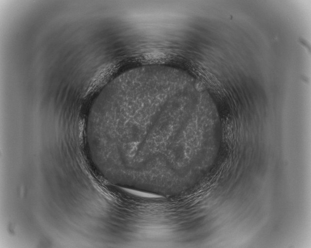 X0000097850742200804111128