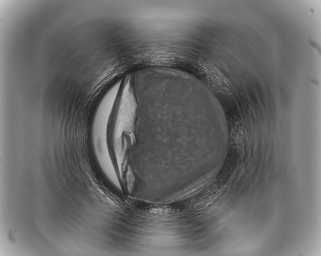 X0000097850744200804111128