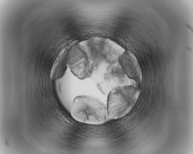 X0000097850745200804111128