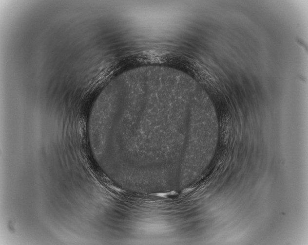 X0000097850747200804111128