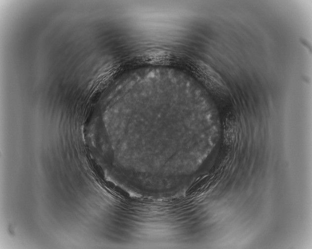 X0000097850748200804111128