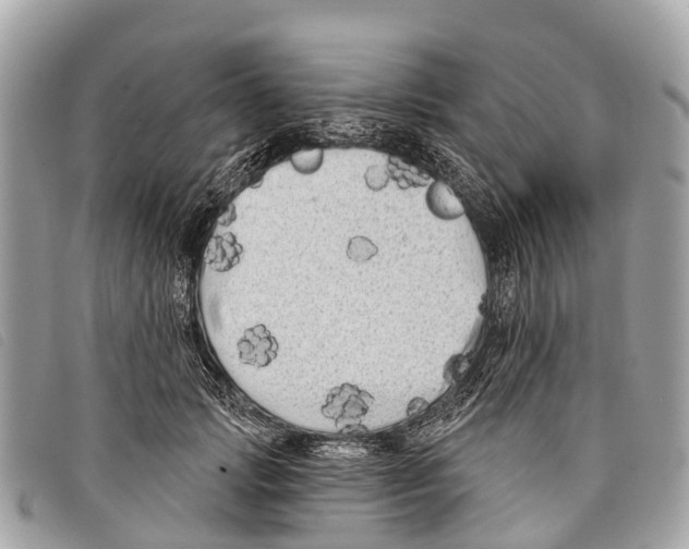 X0000097850749200804111128