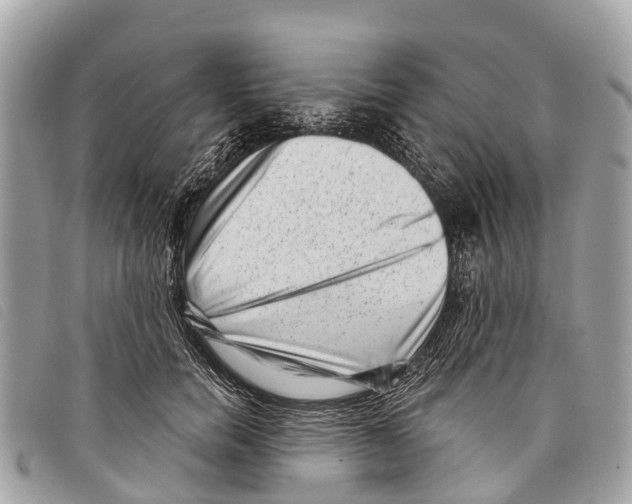 X0000097850750200804111128