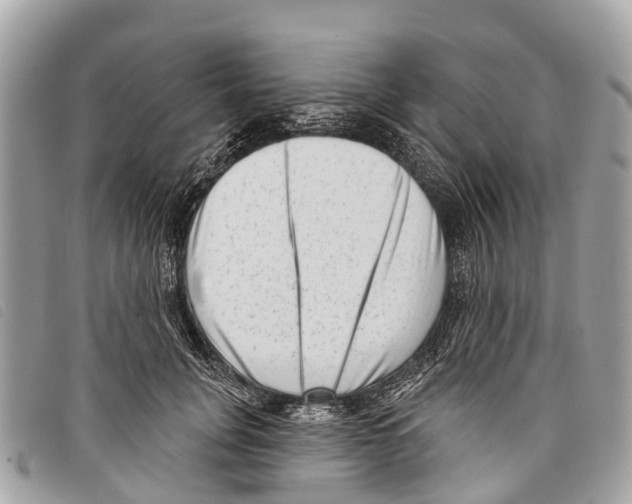 X0000097850751200804111128