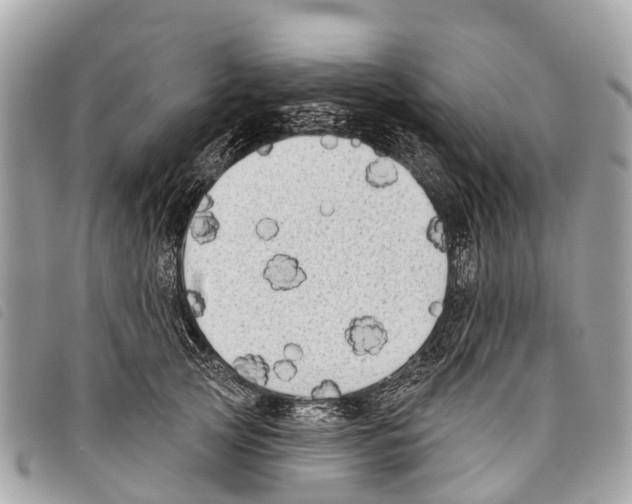 X0000097850753200804111128