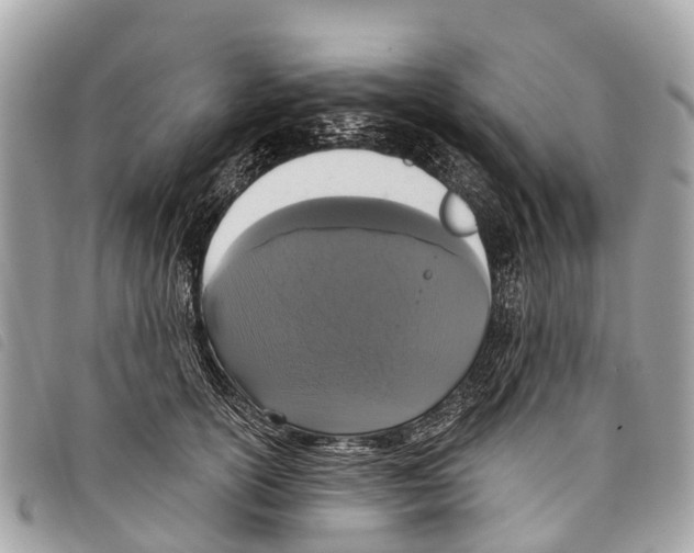 X0000097850754200804111128