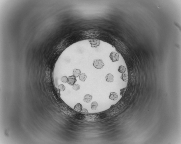 X0000097850757200804111128