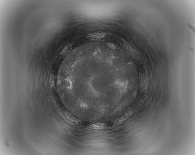 X0000097850758200804111128