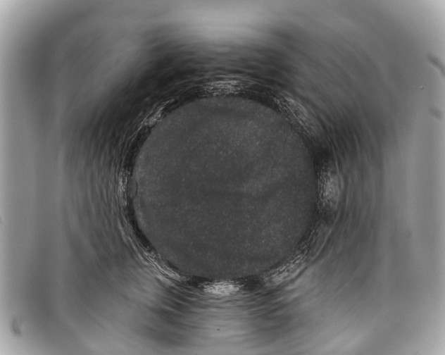 X0000097850759200804111128