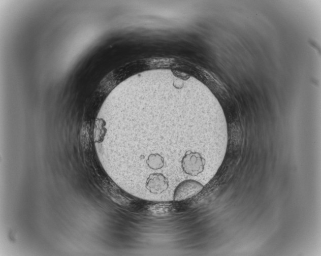 X0000097850761200804111128