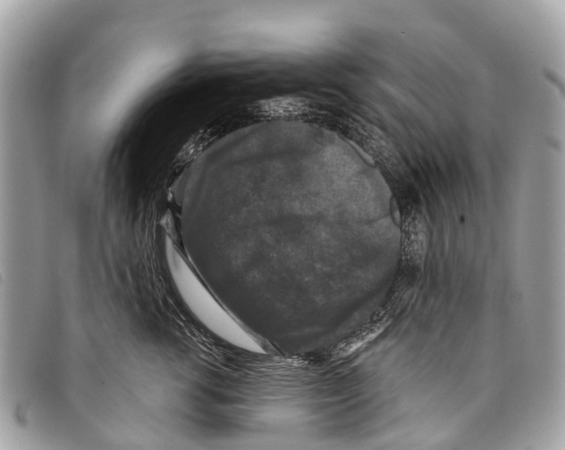 X0000097850762200804111128