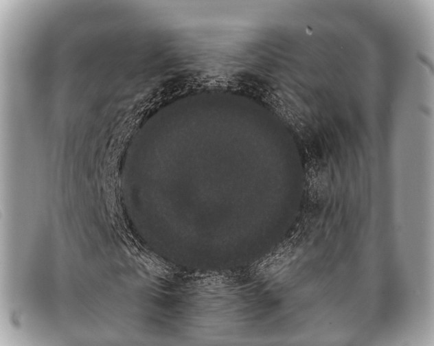 X0000097850769200804111128