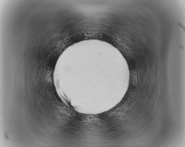 X0000097850770200804111128