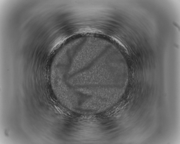 X0000097850775200804111128