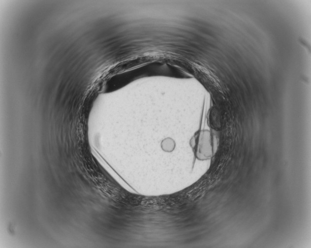 X0000097850776200804111127