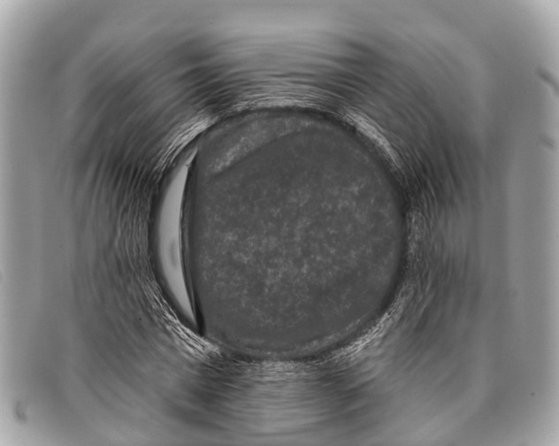 X0000097850777200804111127