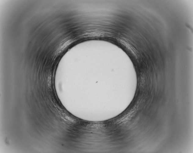 X0000097850778200804111127