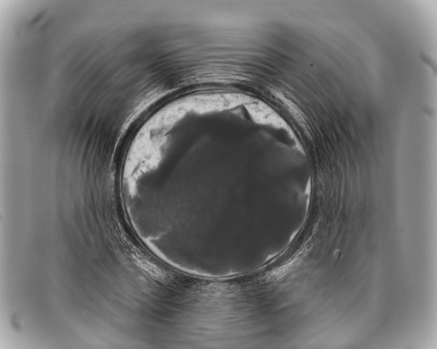 X0000097850779200804111127