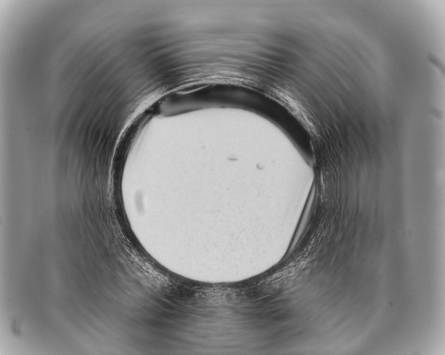 X0000097850780200804111127