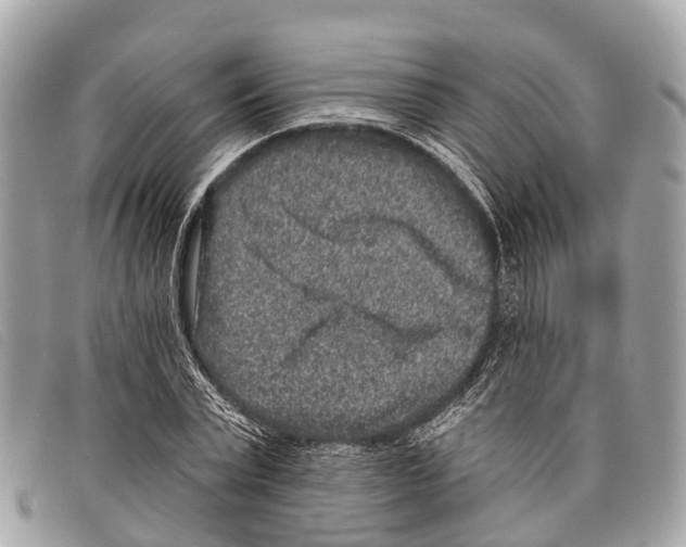 X0000097850783200804111127