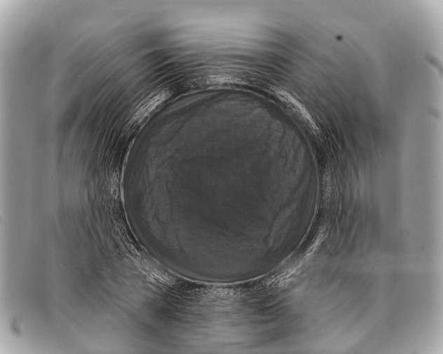 X0000097850785200804111127